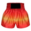 Best sale Custom design printed Kick Boxing / Muay Thai short Fighting shorts with splendid printing embroidery