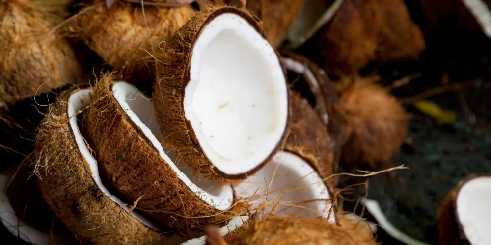 First Grade & Healthy Coconuts For Sale Semi Husked Coconuts From Pollachi Buy Coconut,Fresh