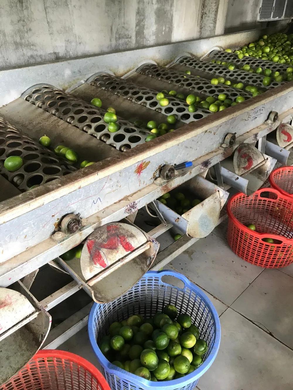 Bulk Lime Low Price / Lime Vietnam Export Standard +84845639639