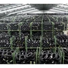 Premium Selection Top brands FIRST CHOICE Tyres For Sale Wholesale Suppliers Online