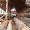 ASH LOGS /PRUCE BIRCH OAK /TIMBER and eucalyptus timber wood logs