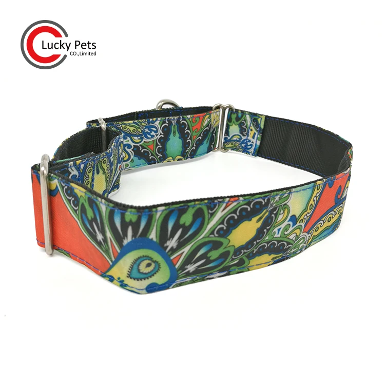 Custom Personalized Greyhound Collar Wide Floral Dog Collar Martingale