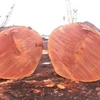 For Sale Logs Doussie / Tali / Azobe / Rosewood / Pine Logs