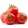 Fresh Crop Canned Peeled Tomato in Tomato Juice 800g