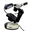 Carl Zeiss Stemi 305 Binocular Microscope