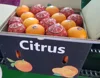 fresh orange