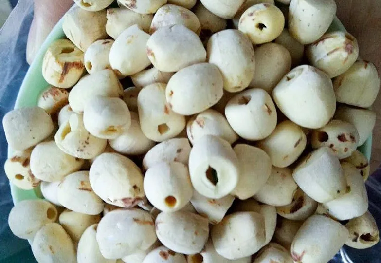 Vietnam Dried White Lotus Seeds Without Plumule/ Ms Annie +84 396986490 ...