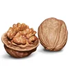 Cheap Whole Raw Walnuts In Shells Vegan And Gluten Free | Bulk | Made In EU