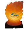 salt lamp | crafted salt lamp | SALTS N SALTS