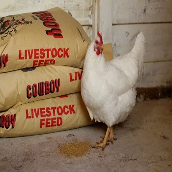high quality broiler chicken feed/layer chicken feed/broiler