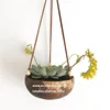 Biodegradable eco friendly coconut flower planter pots/ Natural handmade shell pot