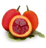 Frozen Gac Fruit Puree/ Rich Vitamin A