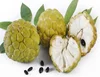 FRESH CUSTARD APPLE EXPORT STANDARD PRICE FOR SALE HIGH QUALITY WITH BEST PRICE FOR YOU