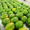 Fruits of Angel Papaya