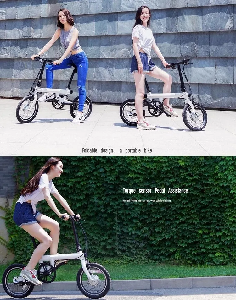 Folding Electric Bicycle