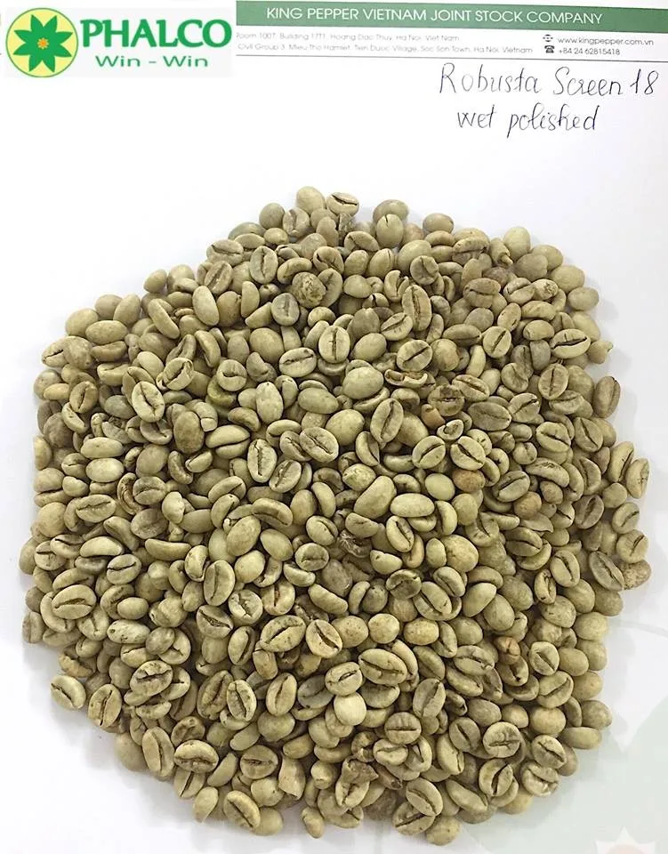 Robusta R16 R18 Coffee Bean From Viet Nam Buy Green Coffee Bean
