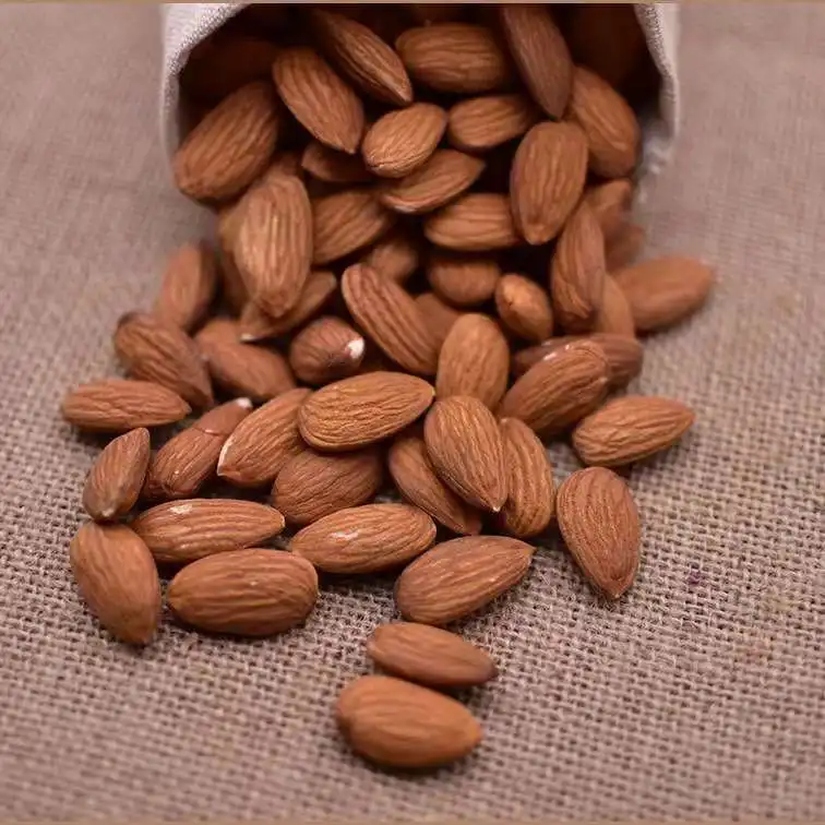 california almond nuts cheap price!