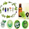 Plum Kernel oil technical package