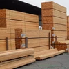 ACACIA WOOD/RUBBER WOOD/PINE WOOD TIMBER FOR WOODEN PALLET e