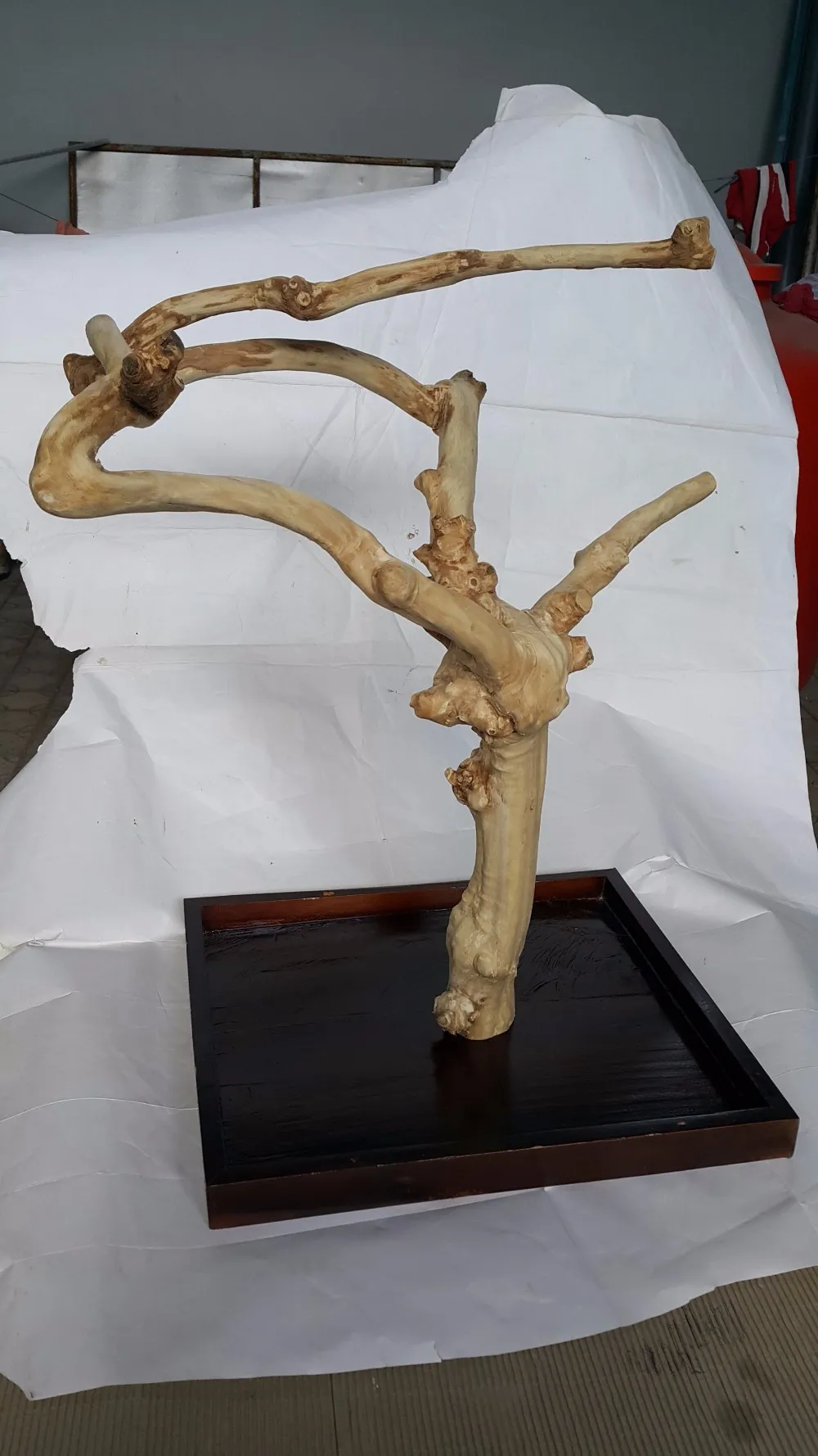 Java Wood Tree Play Stand,Javawood Bird Perch,Multi Branches Parrot