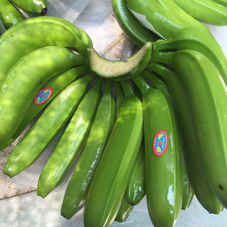 Кавендиш банан. Банан Кавендиш. Бананы на Филиппинах. Банан с Филиппин. Зеленый банан без кожуры.