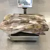 Japan Export Frozen Fresh Cod Fish Pacific Cod 600g Up