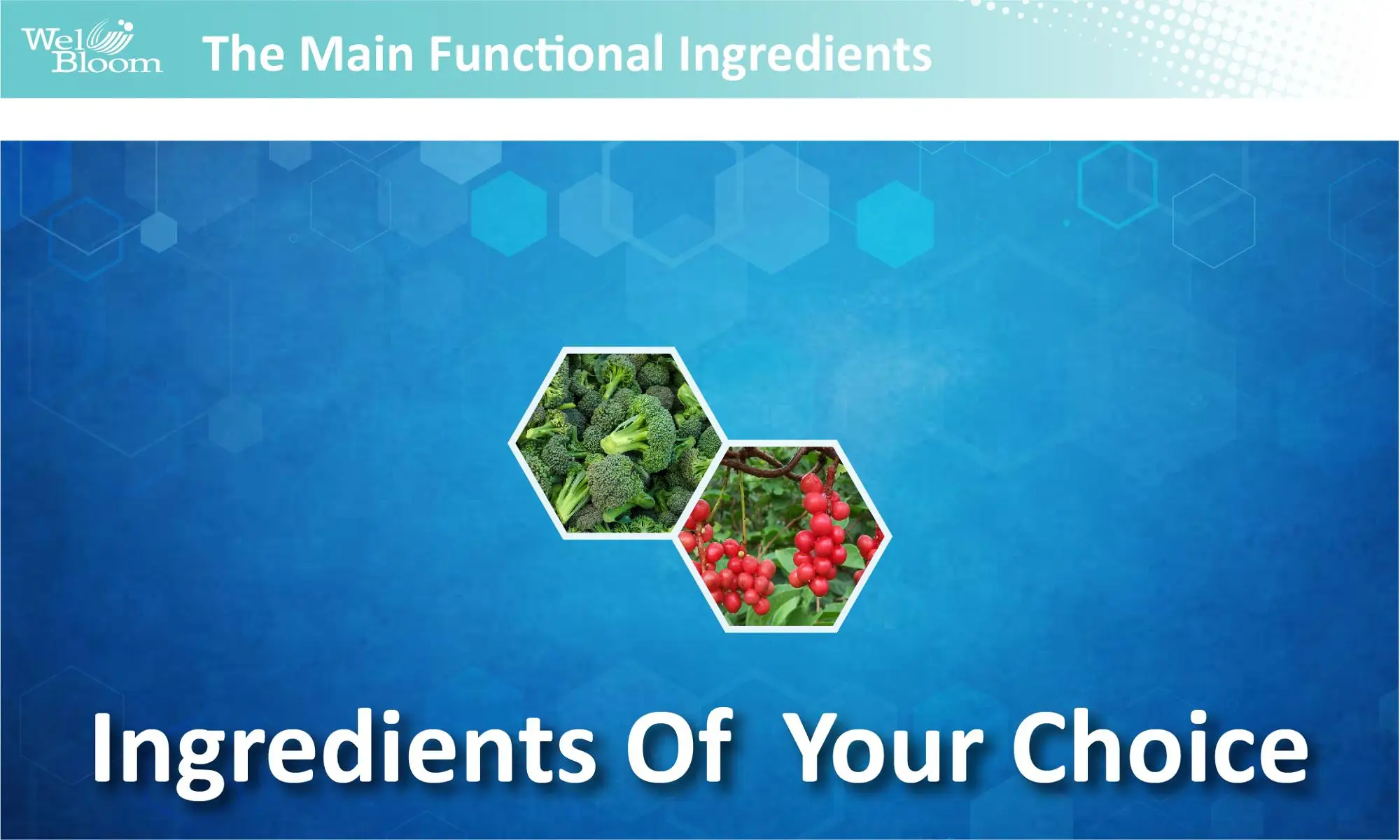 Body Wellness Anti Air Pollution Health Vitamin C Supplement