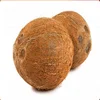 Very High Grade Pollchi Organic Matured Coconuts - Average 500 Grams