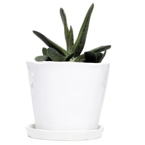 Chive Tika Large Succulent And Cactus Planter Pot 5 Chive Tika Large Succulent And Cactus Planter Pot 5 Ceramic Flower