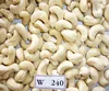 VIETNAM WHOLE CASHEW NUT / BROKEN CASHEW NUT BB, LP, SP, WS ( WHATSAPP: 0084 164 9078 009)