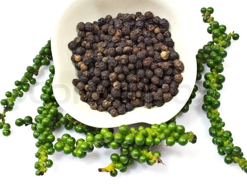 Fresh Peppercorns/ Fresh Green Peppercorns/ Young Green Peppercorns