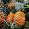 Super quality AA grade Pineapples