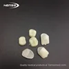 Dental Supplies Composite Denture Teeth
