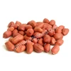 Quality Java Peanut in India