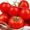 Certified Organic Fresh Tomatoes