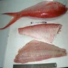 frozen fresh red snapper fish fillet