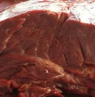 Конина. Конина живая. Конина живая. Конина. Конина живая.