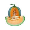 Premium Hydroponic Product Musk Fresh Fruit Melon