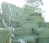 Fine Quality Animal Feed/Alfalfa Hay/Wheat Bran/Timothy Hay/Rhode Grass Hay/Soybean Meal/Corn Gluten Meal