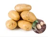 Fresh Potato / Indian Fresh Potato / Fresh Potato From India