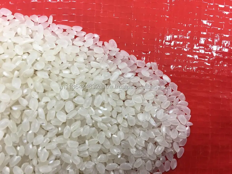 JAPONICA 2% BROKEN 56.jpg