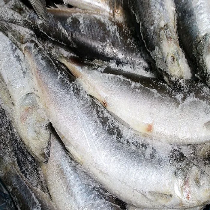 High Quality Frozen Norwegian Herring Buy Canned Herring Fish,Frozen