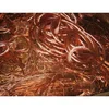 Top Quality Copper Wire Scrap with 99.99% purity / Red Scrap Copper Wire / milbery copper