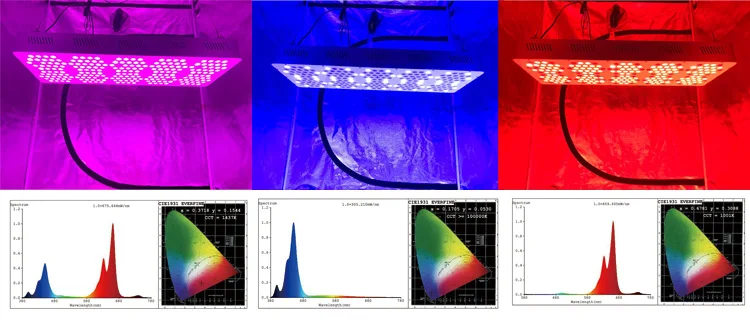 High Quality Hoticulture Plant LED Grow Lamps Indoor For Orchid Plant