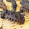 Premium Quality Dried Sea Cucumber
