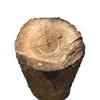 ACACIA WOOD PRICE ACACIA LOGS HIGH QUALITY EXPORT