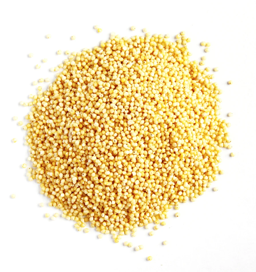 organic hulled millet / unhulled millet,brown millet,yellow mill