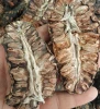 dried noni