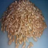 Wheat for Human Consumption