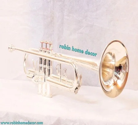 
Trumpet Silver Plated Pure Silver A Brand New great in style first time launched in India 